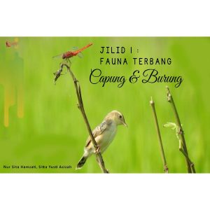 Capung dan Burung